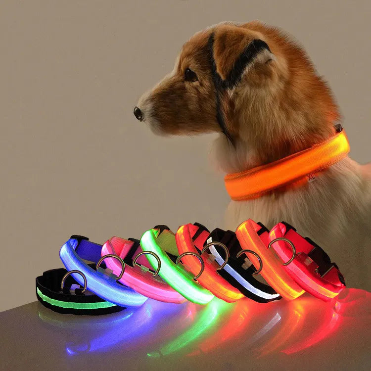 LED Collar Light